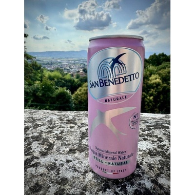 San Benedetto Naturele minerální voda neperlivá 0,33 l