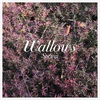 Spring - Wallows LP