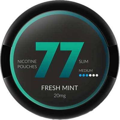 77 Pouches Fresh Mint 10 mg 20 sáčků – Zboží Dáma