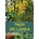 Naturalist's Guide to the Trees of Sri Lanka | Gehan de Silva Wijeyeratne