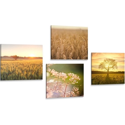 Set obrazů pole při západu slunce - 4x 40x40