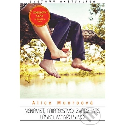 Nenávisť, priateľstvo, zvádzanie, láska, manželstvo - Alice Munro