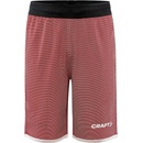 Craft Progress Reversible Basket Shorts