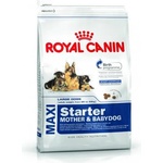Royal Canin Maxi Starter Mother & Babydog 4 kg