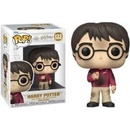 Zberateľské figúrky Funko POP! Harry Potter Harry Potter with The Stone 10 cm