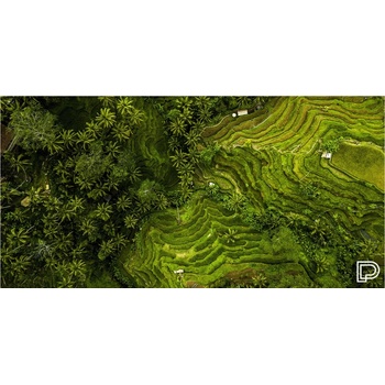 Towee rýchloschnúca osuška RICE FIELDS, 80 x 160 cm