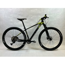 Mrx Levitus 2022