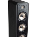 Polk Audio Signature S60E