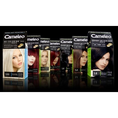 Delia Cameleo barva na vlasy 4.0 středně hnědá