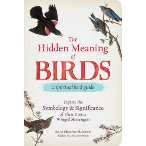 Hidden Meaning of Birds--A Spiritual Field Guide (ISBN: 9781507210260)