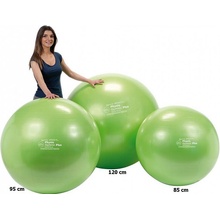 Physio Gymnic Plus 95 cm