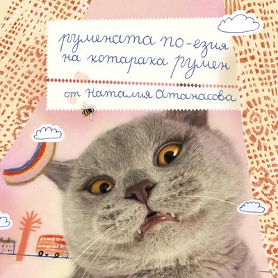 Румената по-езия на котарака Румен