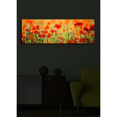 ASIR Nástěnný obraz na plátně VLČÍ MÁKY s led osvětlením 30 cm