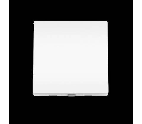 TP-LINK Tapo S210