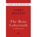 Bone Labyrinth - Rollins James