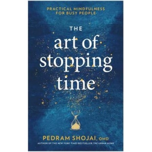 Art of Stopping Time | Pedram Shojai (ISBN: 9781623369095)
