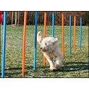 Výcvik psa Trixie agility slalom tyče 12ks