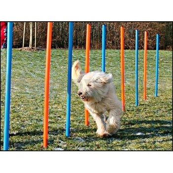 Trixie agility slalom tyče 12ks