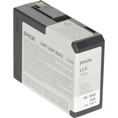 Epson T5809