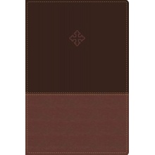 Amplified Study Bible, Hardcover Zondervan