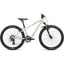 Image 1 of Orbea MX 24 XC