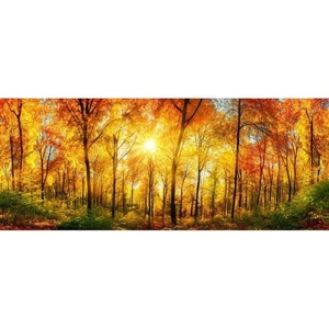 DIMEX ART Панорамни флизелинов фототапет слънчева гора 375 x 150 см