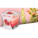 Bispol Aura Cactus Flower 170 g