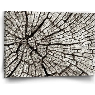 Sablio Obraz Drevo - 90x60 cm