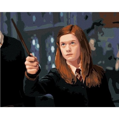 zuty Malování Podle Čísel Ginny S Hůlkou Harry Potter 40 x 50 Cm Plátno