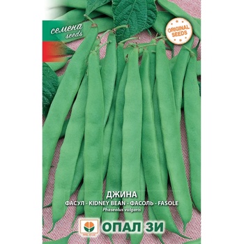 Image 1 of Opal Zi Фасул Джина - зелен, плосък, нисък