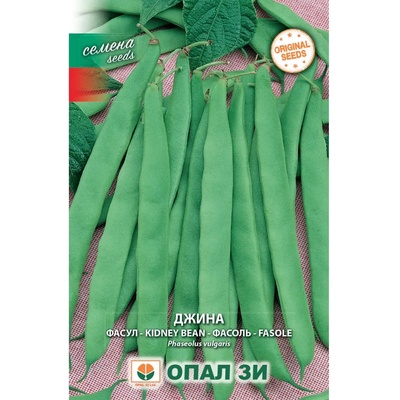 Opal Zi Фасул Джина - зелен, плосък, нисък