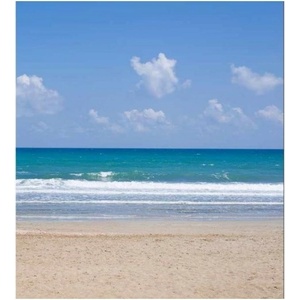 DIMEX ART Флизелинов фототапет плаж 225 x 250 см