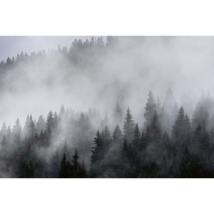 DIMEX ART Флизелинов фототапет мъгла 375 x 250 см