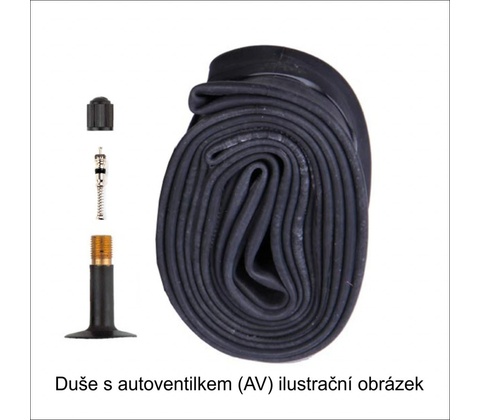 Mitas AV