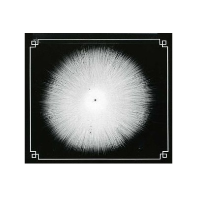 Castevet - Obsian CD
