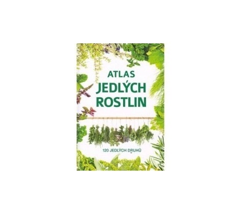 Atlas bylin