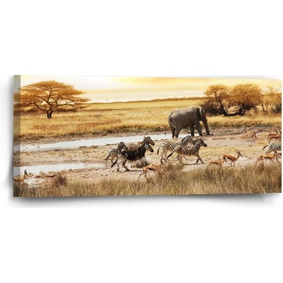 Sablio Obraz Safari - 110x50 cm