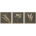 Styler Картини в комплект 3 бр. 30x30 cm Pampas - Styler (OB-14910)