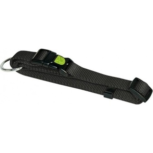 Kerbl Miami нашийник, 20-35 cm x 10 mm