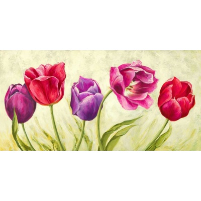 Tančící tulipány 1 deska 100x50