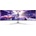 Philips 49M2C8900L