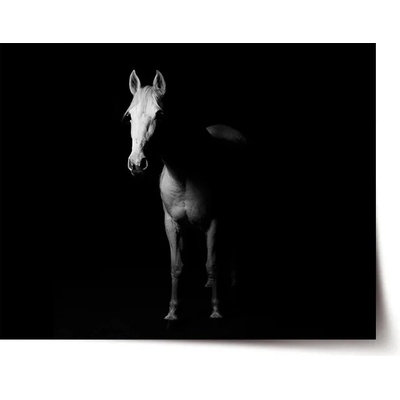 Sablio Plagát Kôň v tieni - 90x60 cm
