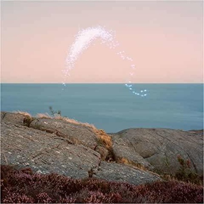 JENKINS, CASSANDRA - AN OVERVIEW ON PHENOMENAL NATURE CD