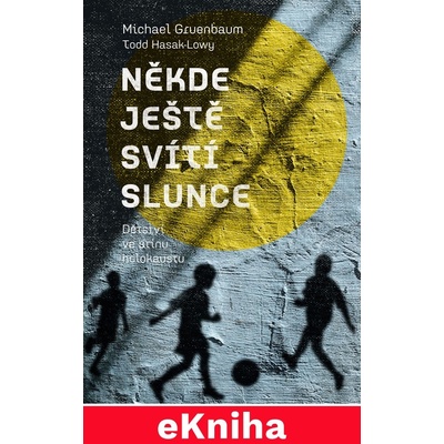 Někde ještě svítí slunce. Dětství ve stínu holokaustu - Michael Gruenbaum, Todd Hasak-Lowy