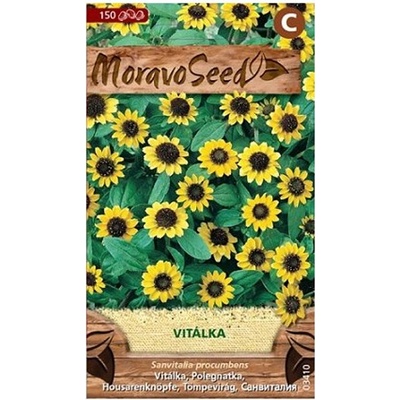 Semínka MoravoSeed Vitálka položená, žlutá 03410