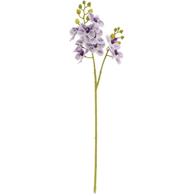 KS ORCHIDEA PHALAENOPSIS BIELO-FIALOVÁ 60CM