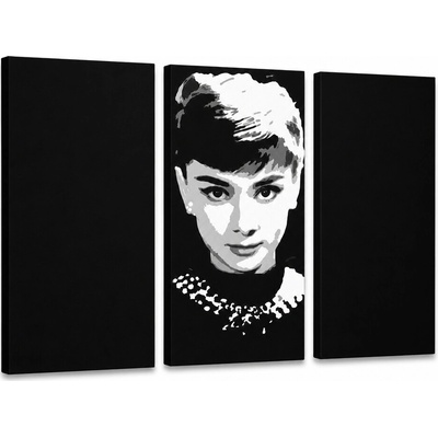 Ručne maľovaný POP Art obraz Audrey HEPBHURN - 90x60 cm