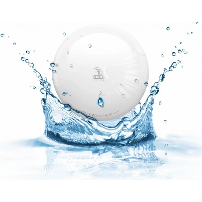 Fibaro FGFS-101