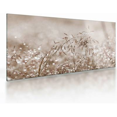 Sklenený obraz - Lúka v hnedých tónoch, jednodielne 100x50 cm na skle
