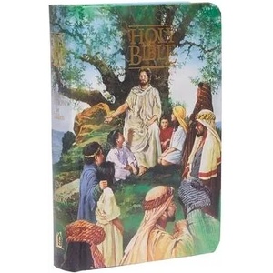 KJV, Seaside Bible, Hardcover, Full-Color Illustrated | Thomas Nelson Publishers (ISBN: 9780840701756)